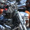 Harleys Parked 2010
