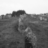 Object Photographs