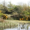 Nature Photographs