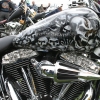 Skulls