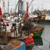 Portavogie Harbour