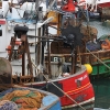 Portavogie Harbour