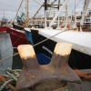 Portavogie Harbour