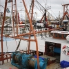 Portavogie Harbour