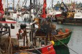 Portavogie Harbour Portavogie Harbour